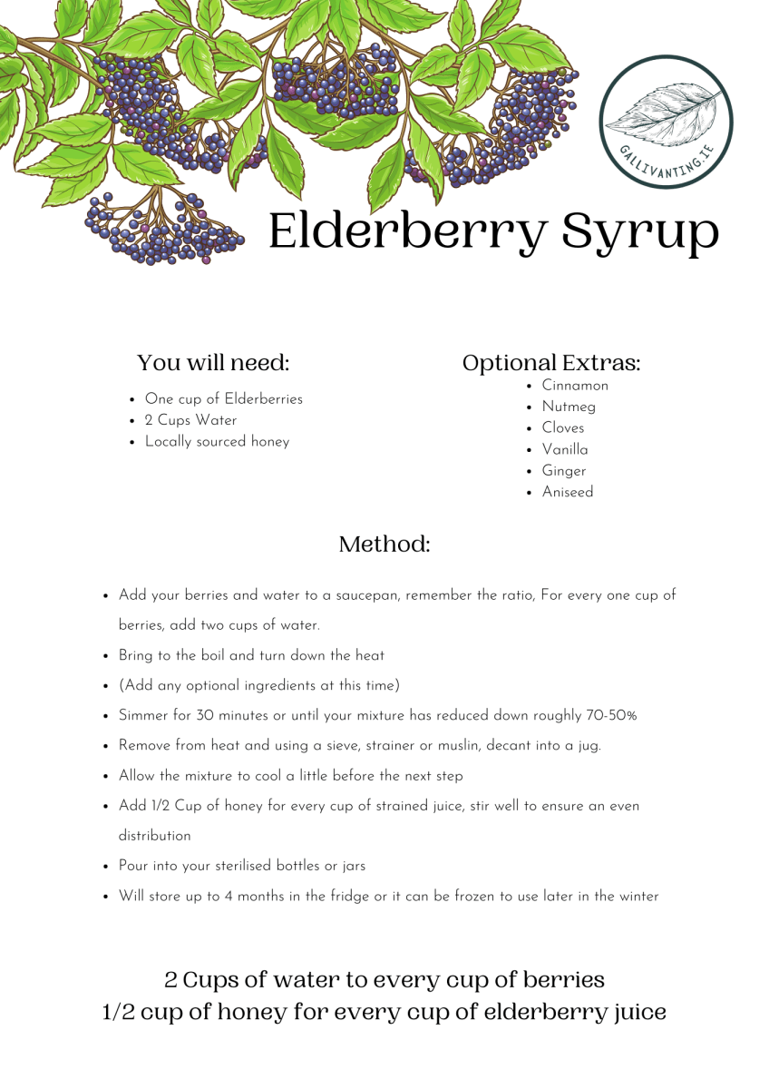 Elderberry syrup recipe