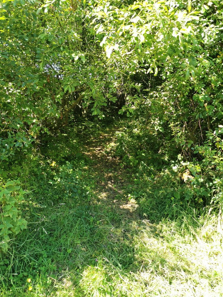 Biddy Early's cottage in Clare