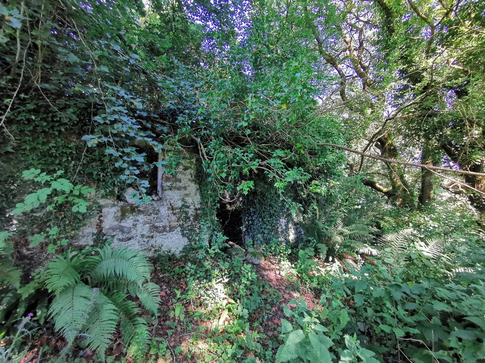 Biddy Early's cottage in Clare