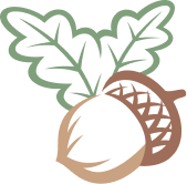 Leaf icon symbolizing nature connection and forest storytelling experience