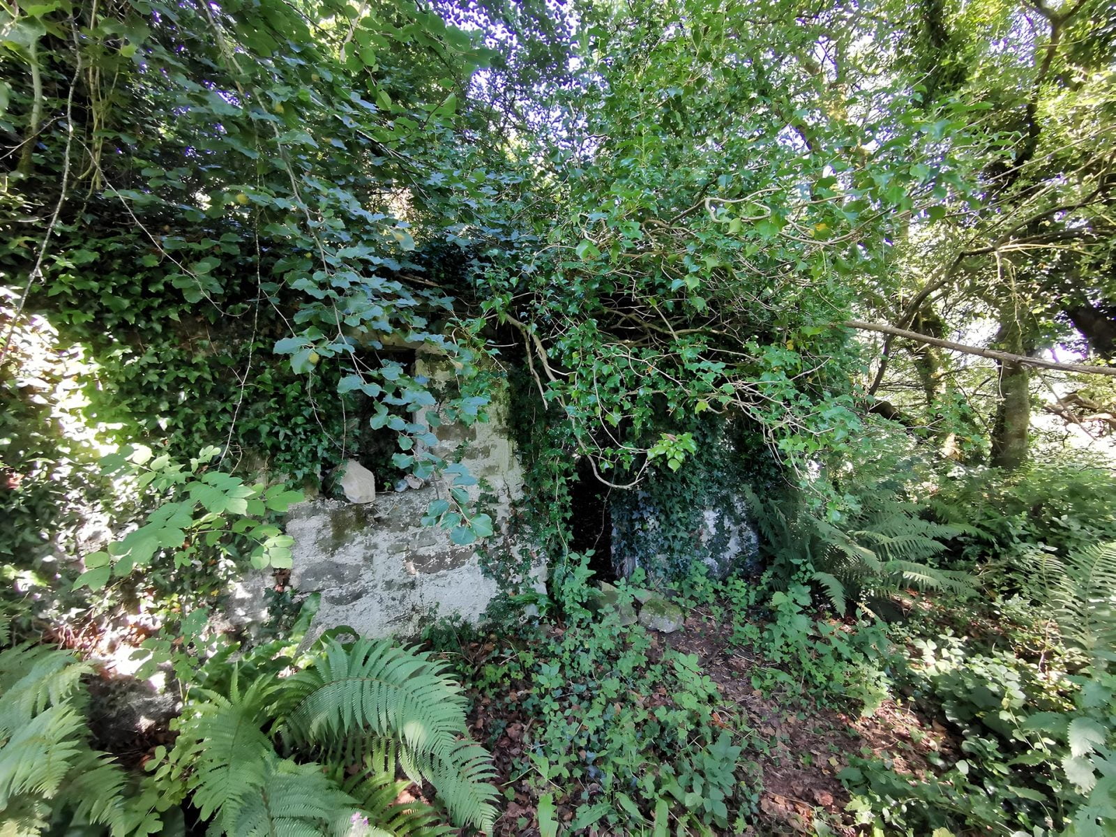 Biddy Early's cottage in Clare