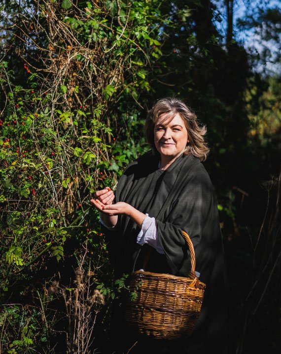 Courtown Woods shaded trail with interpretive signs during guided walk in Wexford