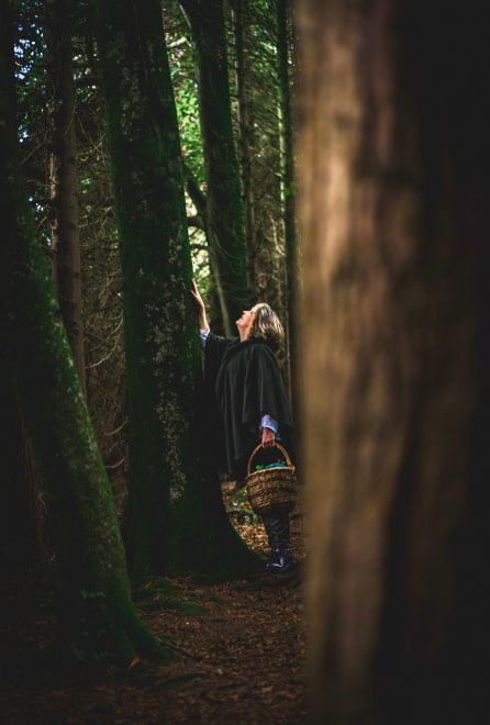 Intimate workshop teaching Irish Celtic Paganism, hedge medicine, and traditional skills