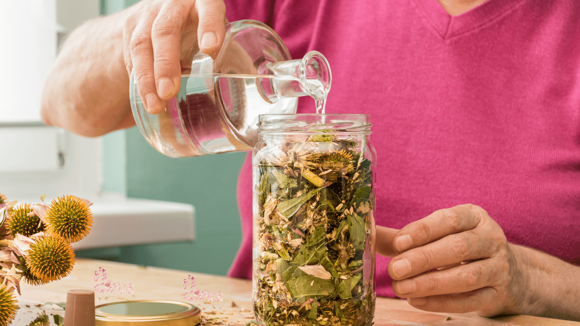 A Winter Tincture from Your Winter Walk! 2