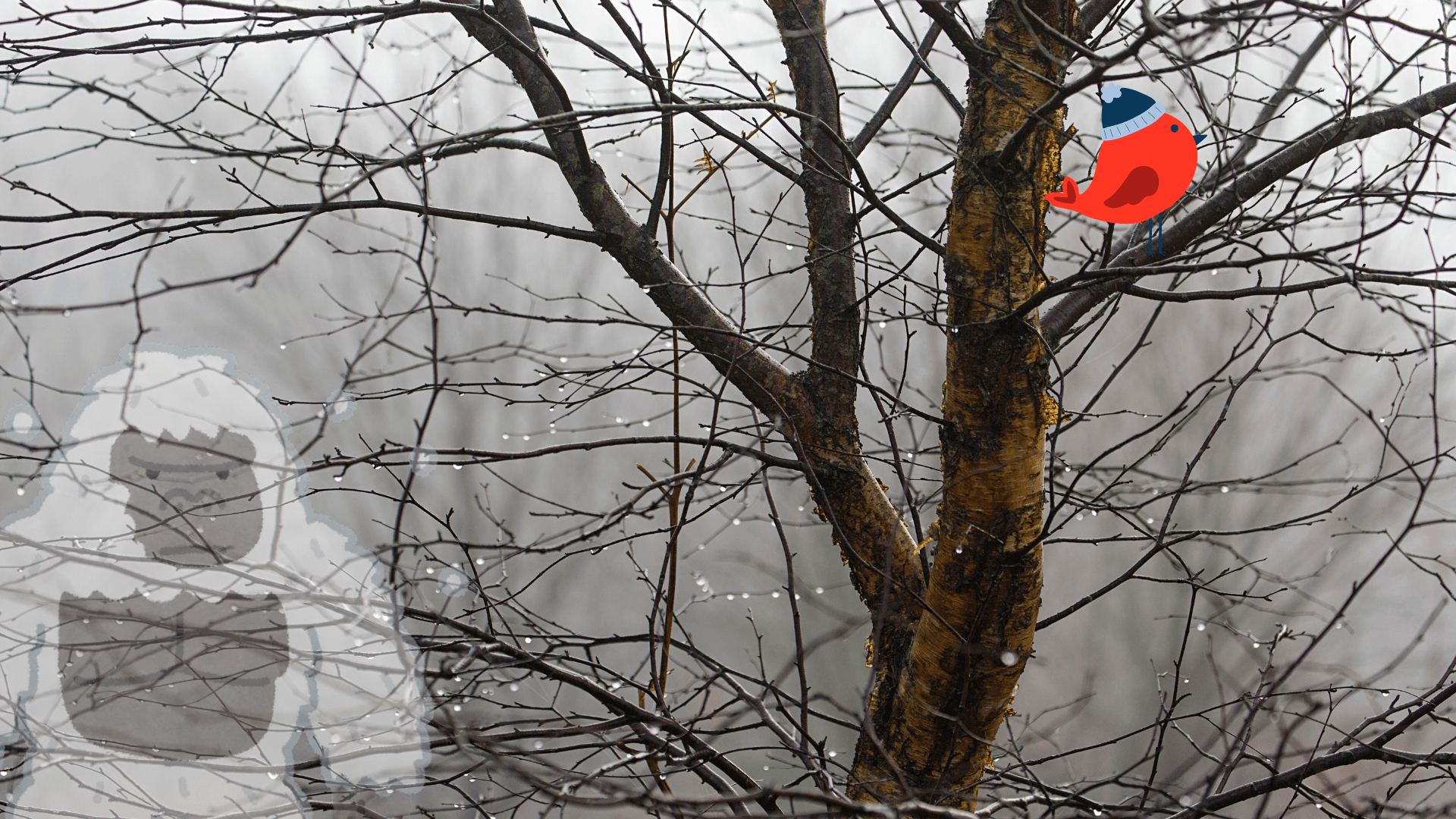 What Happens to Trees in Winter?