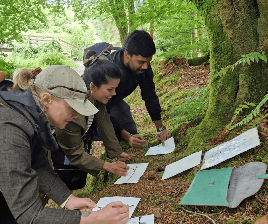Foraging walk in nature 2