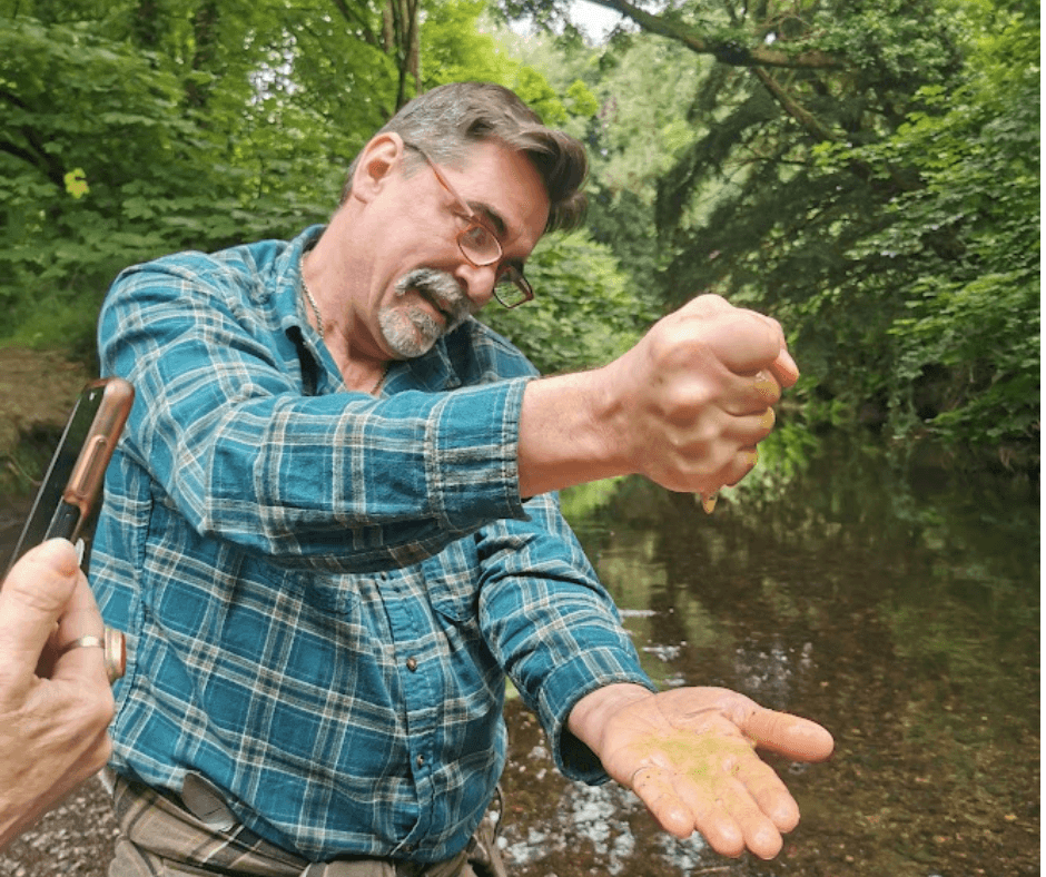 Foraging walk in nature 5