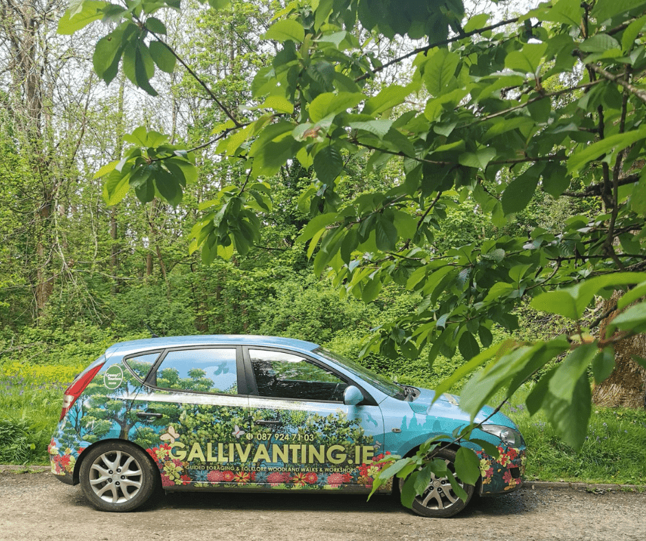 Foraging walk in nature 1