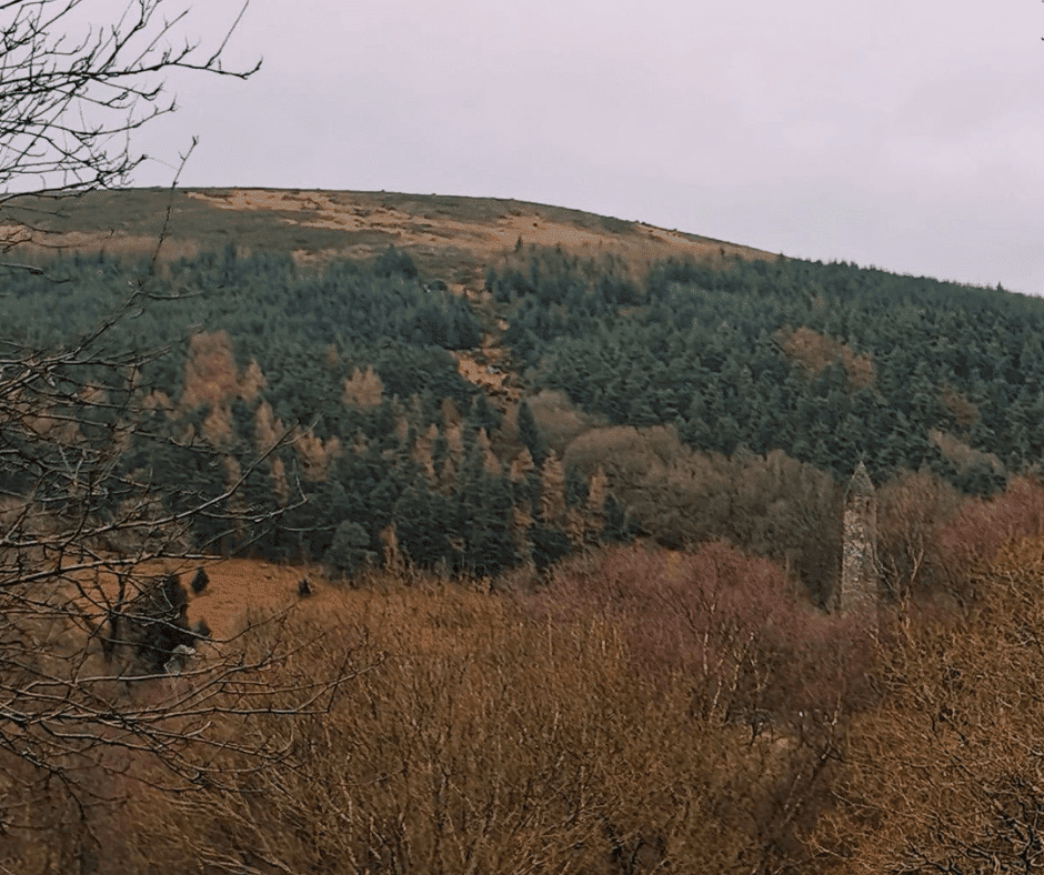 Goddess walk in Glendalough 3