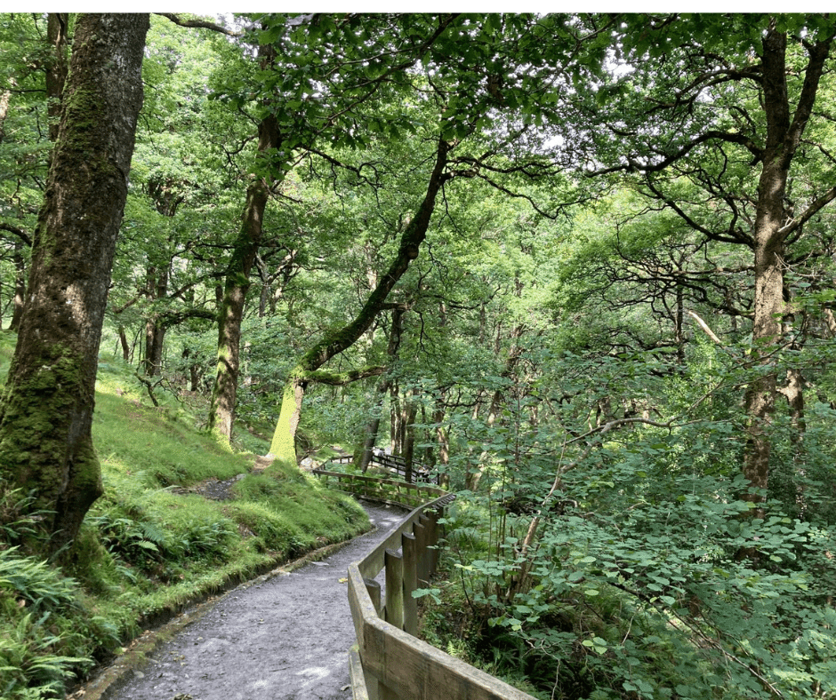 Goddess walk in Glendalough 11