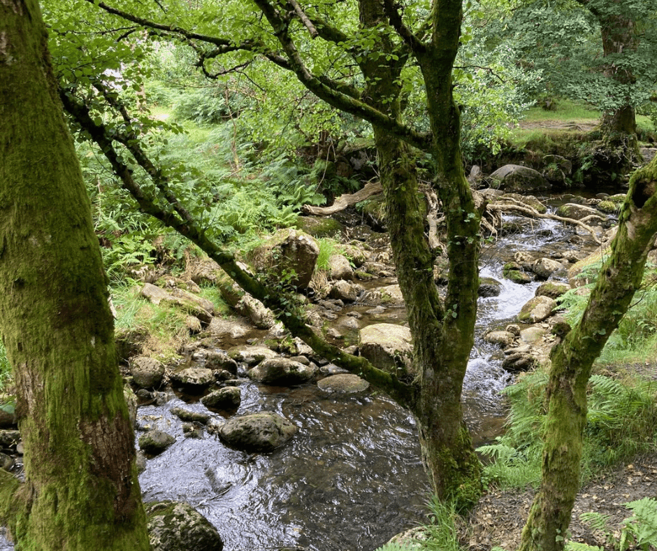 Goddess walk in Glendalough 1