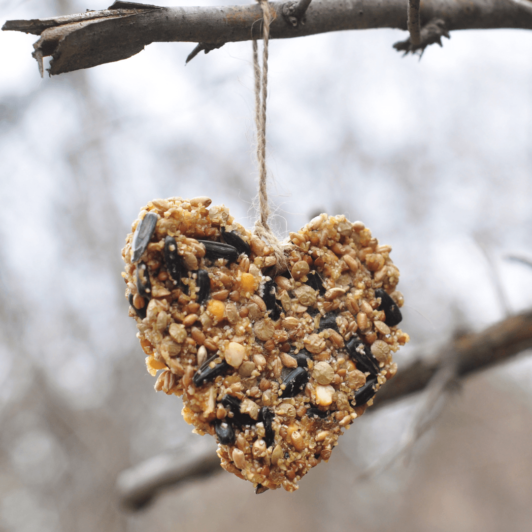 Melt the suet or lard over low heat.